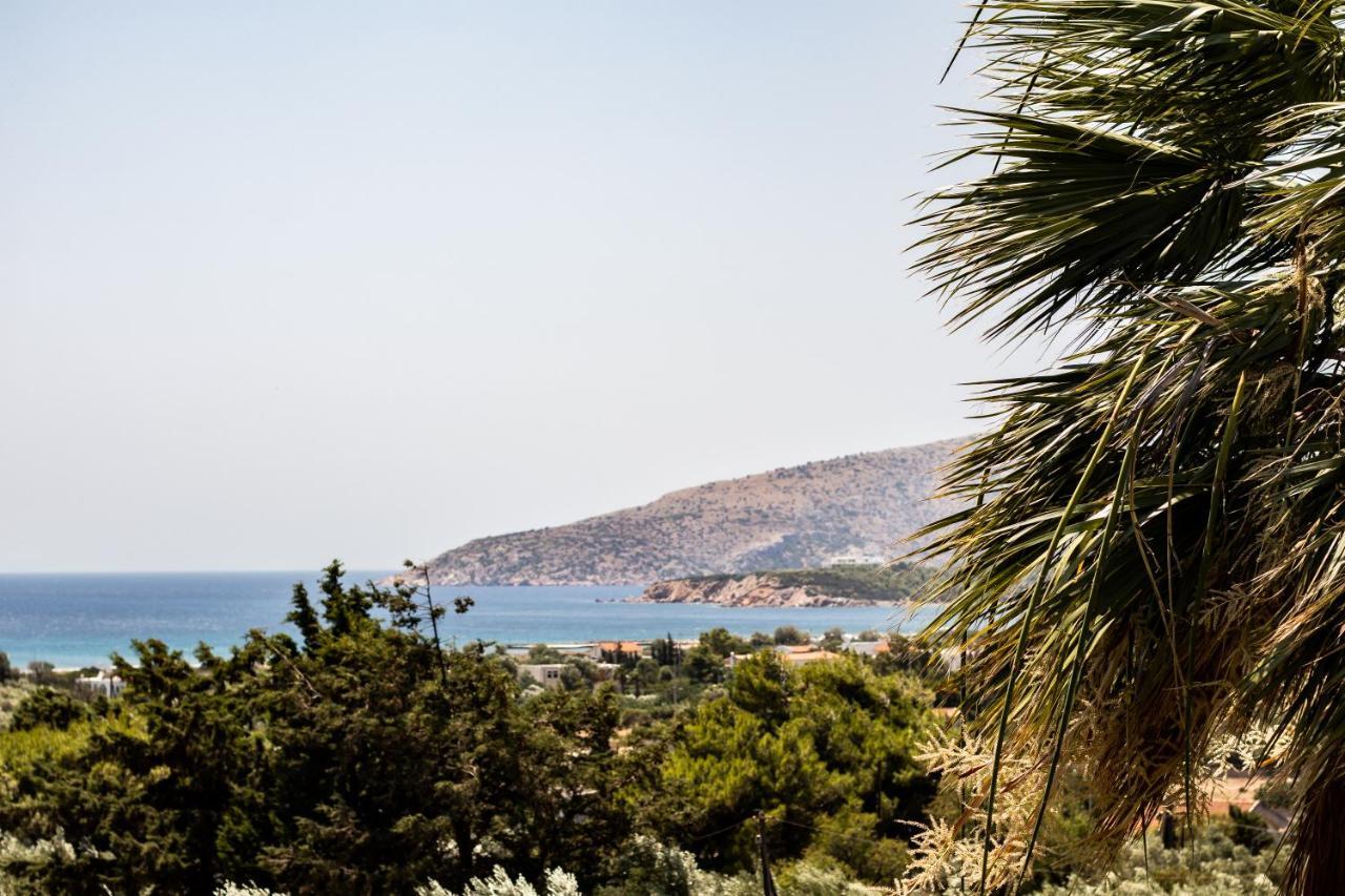 Villa Sounio Суніон Екстер'єр фото